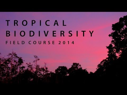 Naturalis Tropical Biodiversity Course 2014