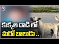 Khammam: Five-year-old boy killed in street dog attack
