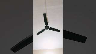 New Orient Ceiling Fan🔥