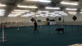 80x60 agility 1 (Winston)