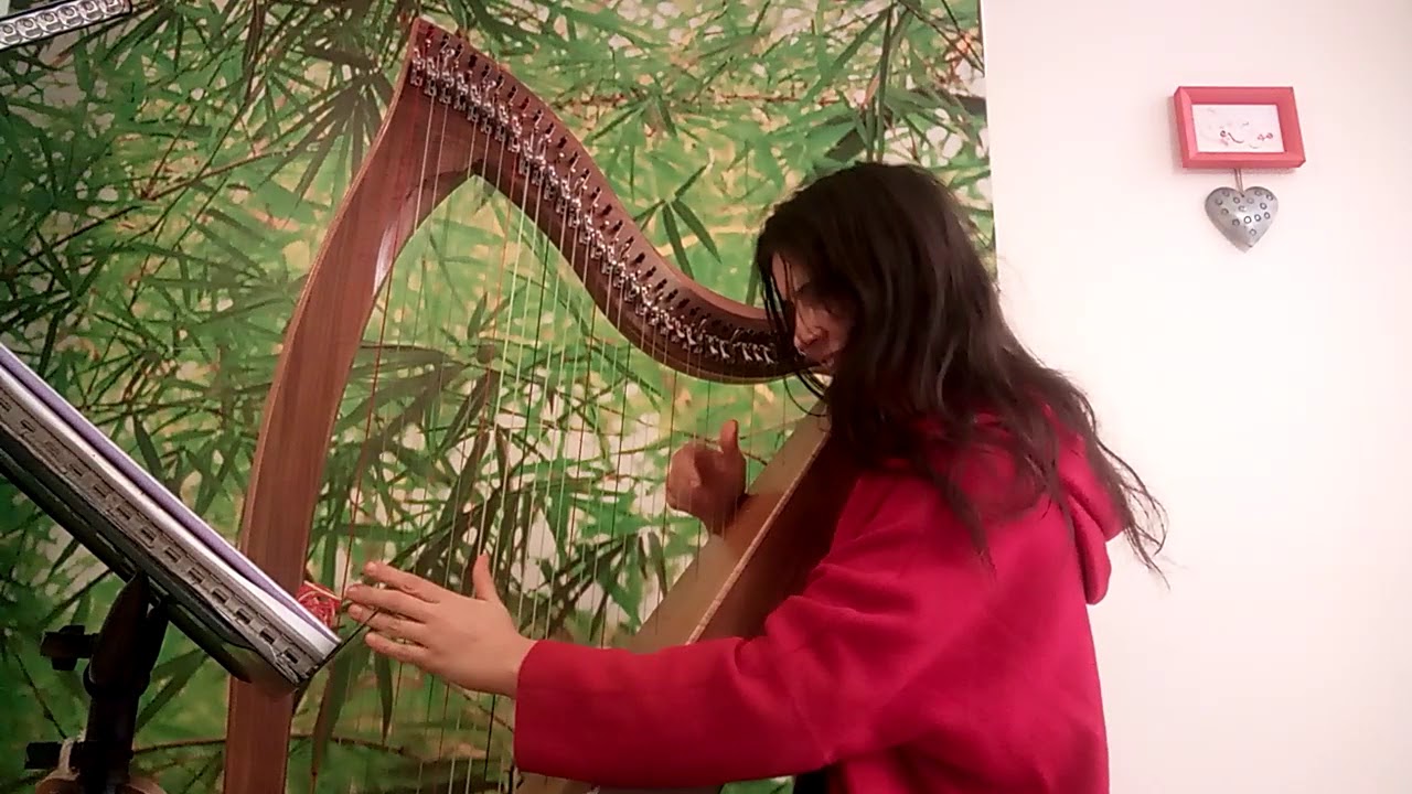 Harpe celtique et musique du monde – Sophie Mosser