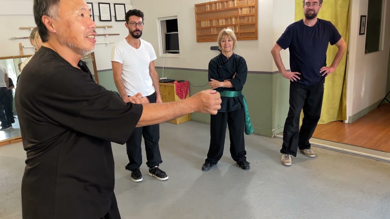 Stage de Xingyi Quan traditionnel octobre 2022 extrait 1/2 - École d'arts martiaux internes