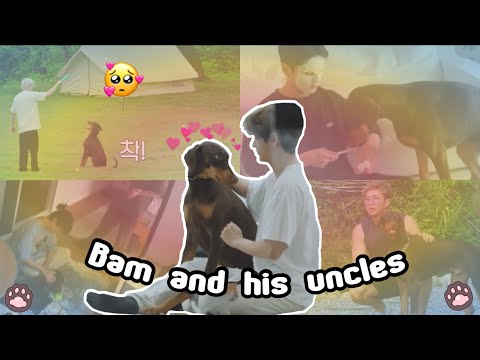 How to take care of Bam, a guide by BTS | Bam and his 6 uncles