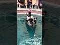 The Venetian Las Vegas #travel #lasvegas #placestovisit