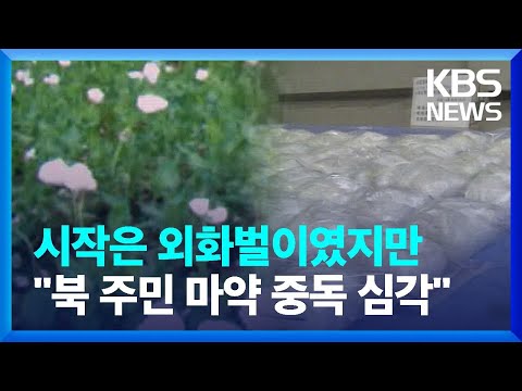 시작은 외화벌이, 현실은 마약 남용 [클로즈업 북한] / KBS  2023.06.10.