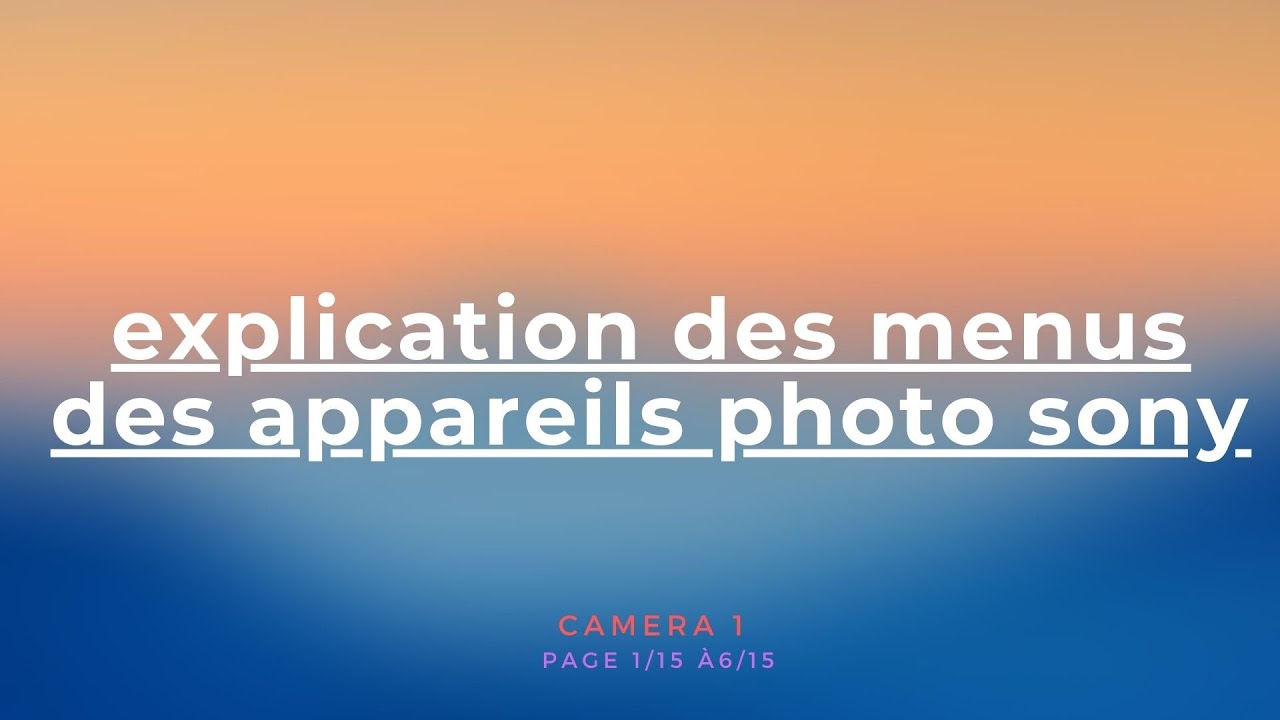 Menu des appareils photo Sony  partie 13 CAMERA 1 de 115  615