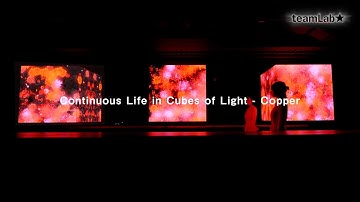 Continuous Life in Cubes of Light   Copper