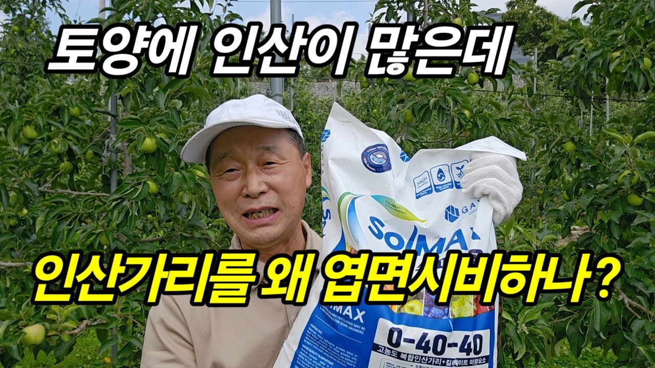 토양에 인산이 많은데 인산가리를 왜 엽면시비 해야하나?