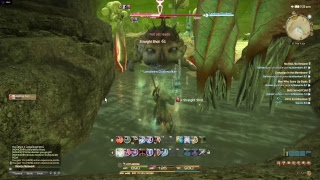 Final Fantasy XIV - ARR