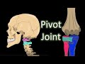 Understanding Pivot Joints