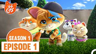 44 Cats Episode 1 - Buffycats On Mission ✨ | Season 1
