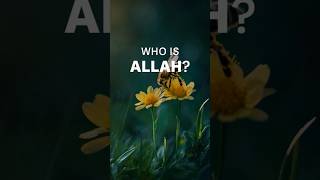 Reflect on the remarkable creation of the honeybee and be in awe of the greatness of Allah. #Allah