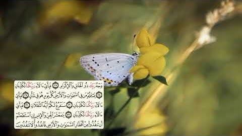 532-page - سعد الغامدي - -سورة - الرحمن -AR-RAHMAN / LE TOUT MISÉRICORDIEUX - 55
