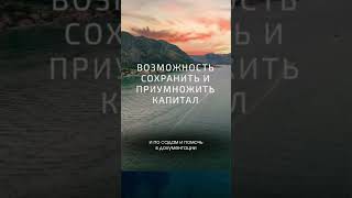 Бесплатный разбор твоих финансов и бизнеса в шапке профиля