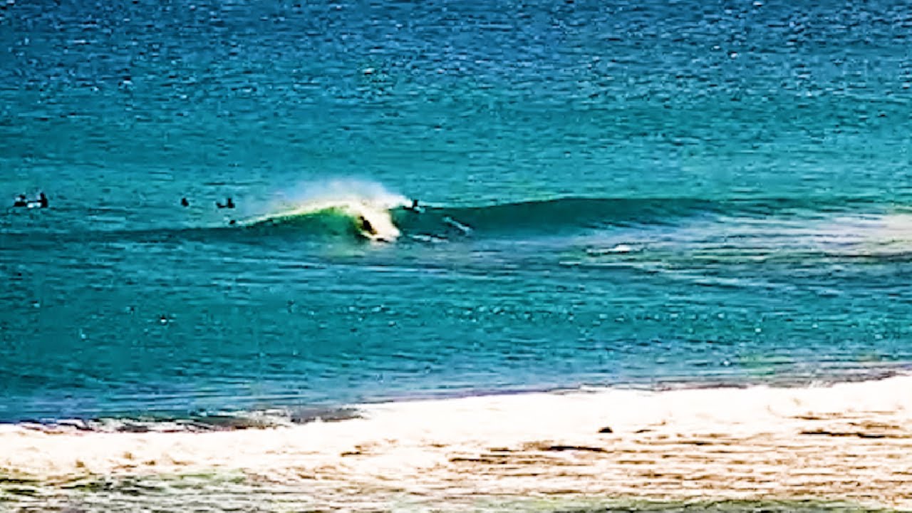 Clips
