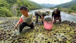 Nagaland village life catching lots of snails, frogs, fish and organic vegetables at paddy field