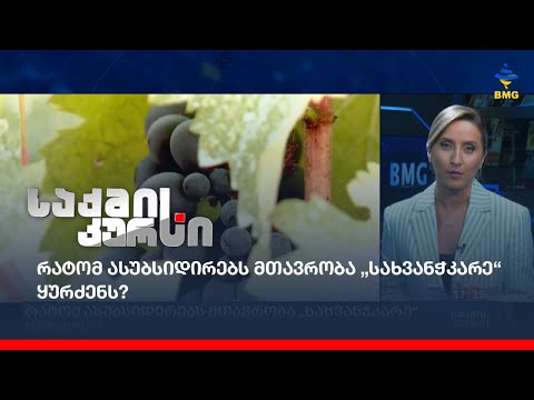 რატომ ასუბსიდირებს მთავრობა „სახვანჭკარე“ ყურძენს?