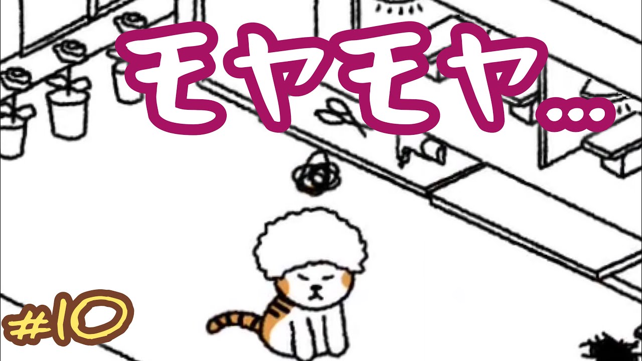 10 ねこはほんとかわいい ずっと分からなかったモヤモヤの消し方教えます Youtube 10 ねこはほんとかわいい ずっと分からなかったモヤモヤの消し方教えます Youtube