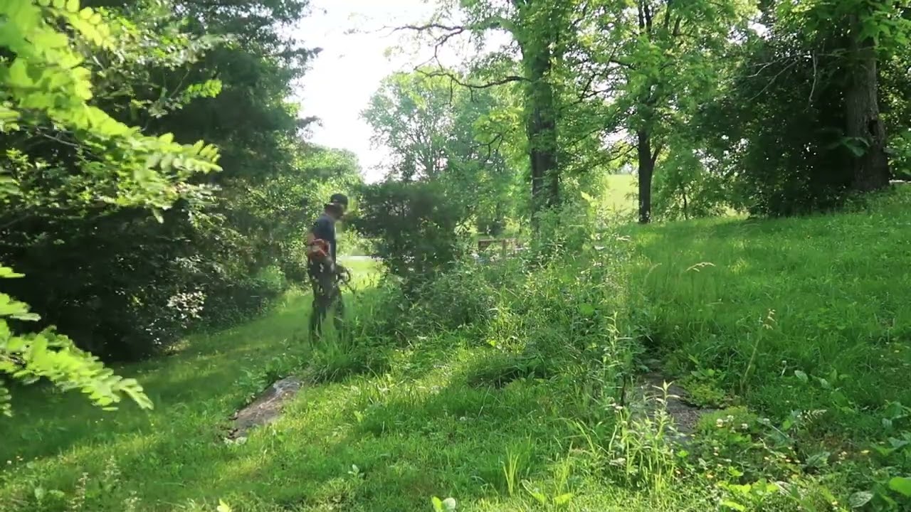 weed whacking a tree line with a bunch of rocks in it!
