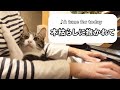 木枯らしに抱かれて / 小泉今日子 甘え猫【耳コピ】ピアノ リラックスBGM/睡眠導入/精神科医が奏でるピアノ/Beautiful relaxing piano sounds
