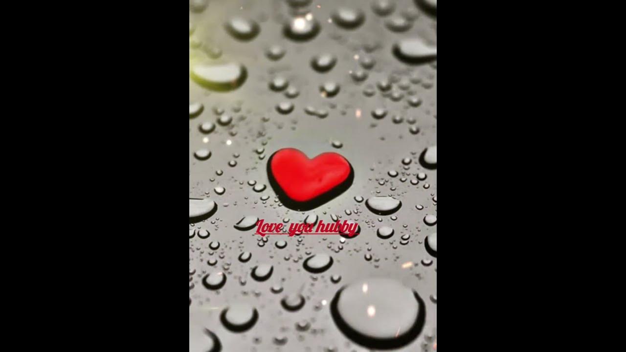 hubby status status video viral ️ ️ ️ ️ ️ ️ ️ YouTube