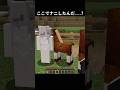 小馬が生まれた理由 #マイクラ #マインクラフト #minecraft #あまめちゃん