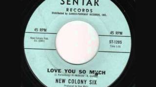 Video thumbnail of "New Colony Six - Love You So much (1967)"