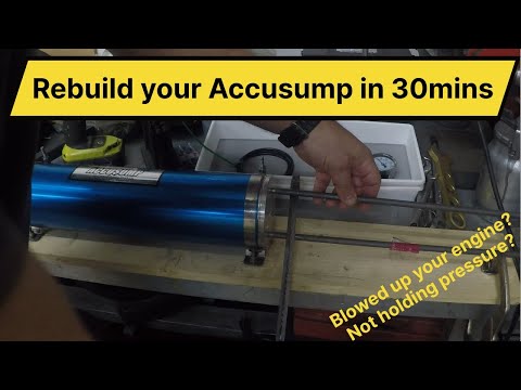 Yalangoch chiroyli katta kokrakli qizlar