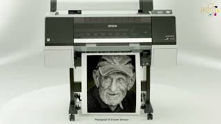 Epson - Surecolor P6000 - P8000