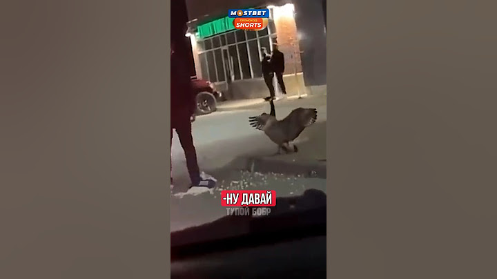 ГУСЬ ПРОУЧИЛ НАГЛОГО ПАРНЯ!