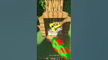 MINECRAFT Parrot HOUSE Shorts 