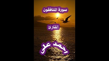 سورة المنافقون__تلاوه رائعه__القارئ احمد على عبدالمنعم