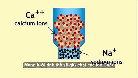 Phương pháp trao đổi ion trong xử lý nước cứng