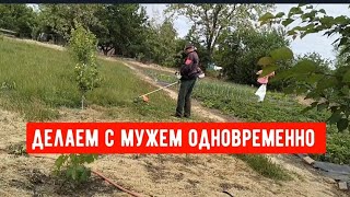 #800У МУЖА ВЫХОДНОЙ/ДЕЛАЕМ ОДНОВРЕМЕННО