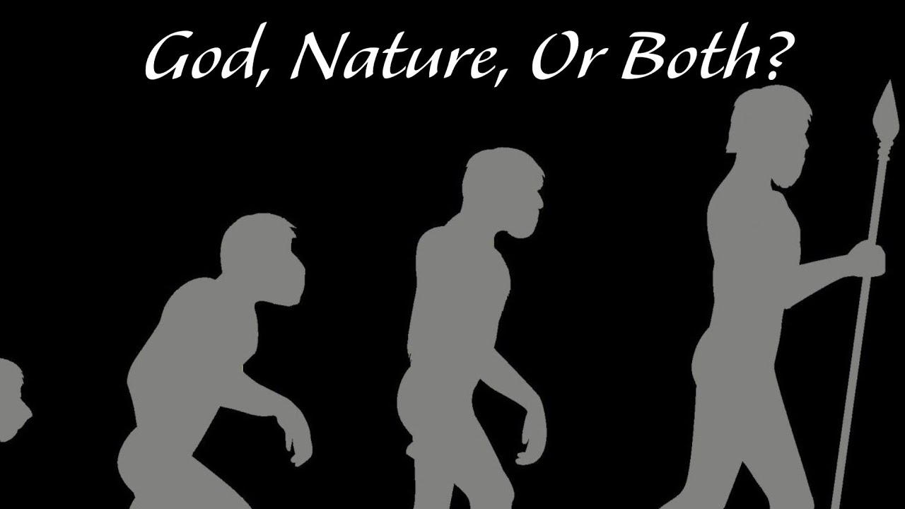 Theological Responses To Evolution
