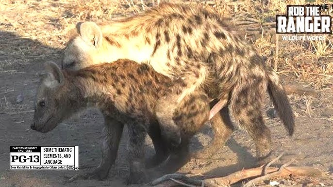 Internetda koz yoshlar keltiradigan rus porno jinsiy aloqa Tentacle monster jinsiy aloqa video