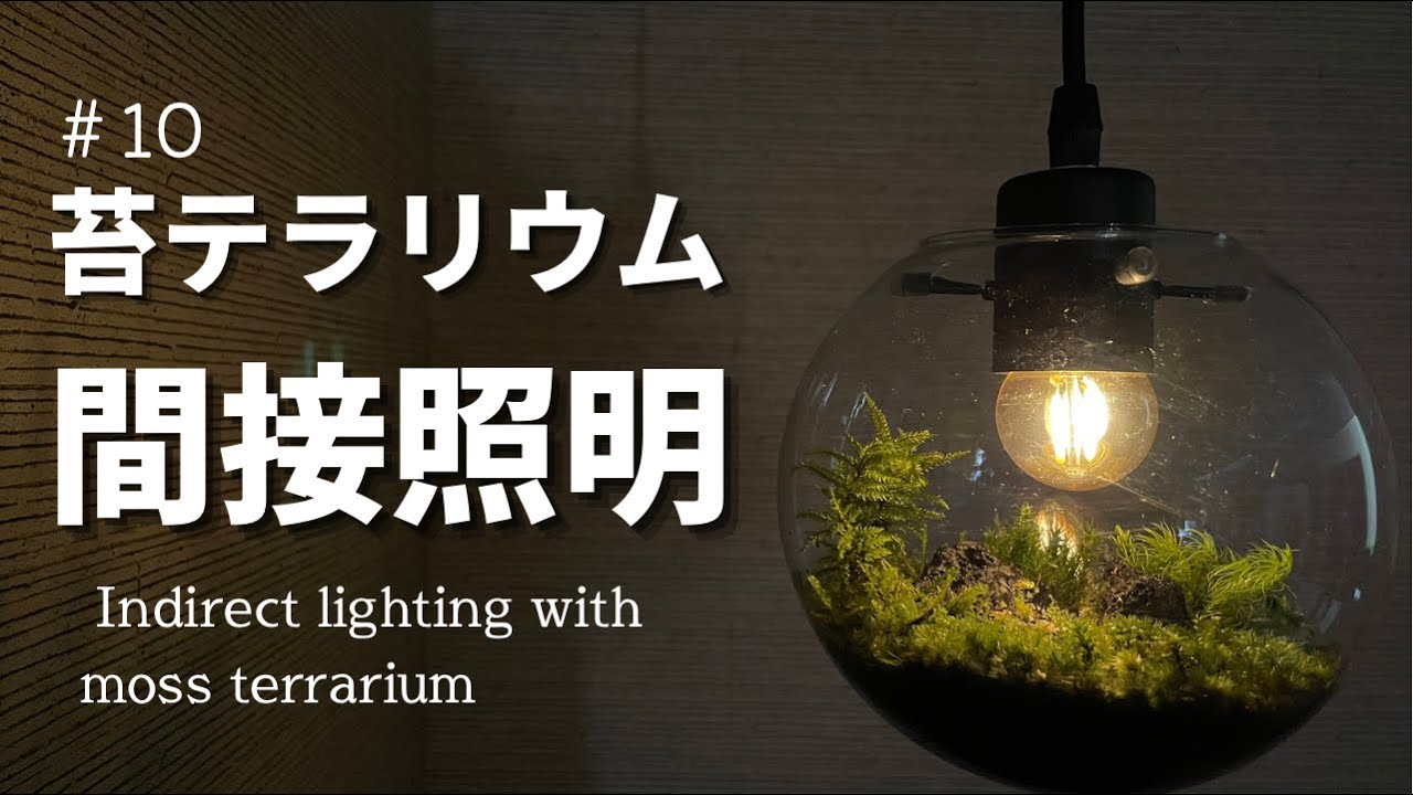 コケテラリウム をインテリア照明として吊るす 苔テラリウムの作り方動画 Lighting With Moss Terrarium Lighting Youtube
