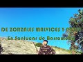 De ZORZALES, MALVICES Y PATOS en SANLUCAR de BARRAMEDA / Caza Menor 2021