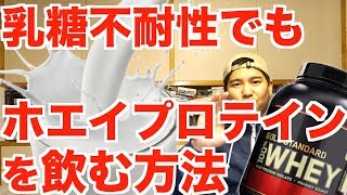 乳糖不耐性でもホエイプロテインを飲める方法.
