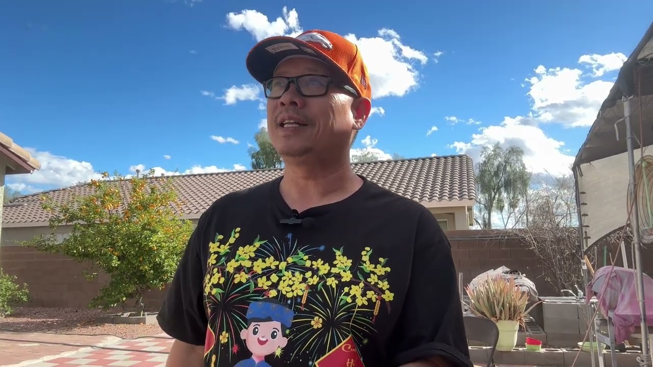 Sáng mùng 1 Tết 2026. 02/17/2026.