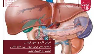 بيت الصحة  الثقافة الطبية  علاجات فيروس سي علاج القولون  العلاج بالاعشاب الساعة البيولوجية