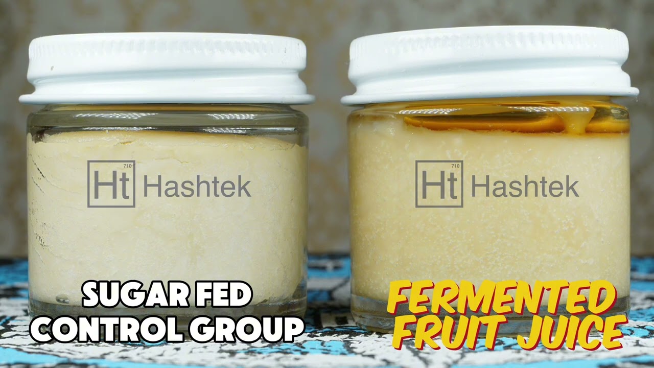 Fermented Fruit Juice Vs Sugar Fed Rosin Curing Timelapse