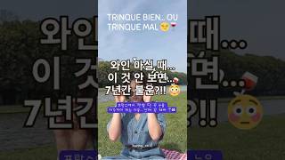 프랑스에서 와인 마실 때, 이것 안 보면… 7년간 불운이라고?!! 😳🇫🇷 뭔데? #SunnyOnQ #ParisCultureShock #wine #와인 #파리일상