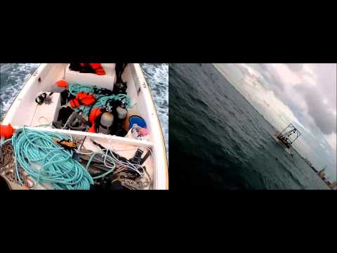 UNDERWATER OPTICAL FIBER CABLE AND COLOMBIAN DIVERS