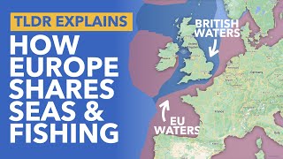 The Common Fisheries Policy & Brexit: Why is the European Union So Obsessed with Fish? - TLDR News