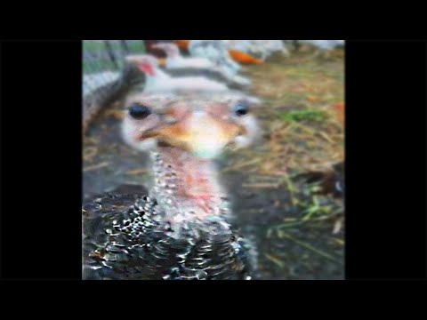 чих пых мне передали ашкудишку