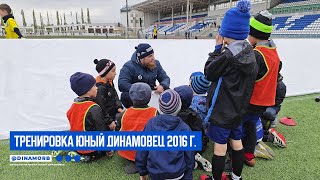 Тренировка &quot;Юный Динамовец&quot; 2016 г.