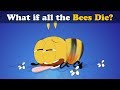 What if all the Bees Die? | #aumsum #kids #science #education #children
