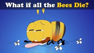 What if all the Bees Die? + more videos | #aumsum #kids #science #education #children