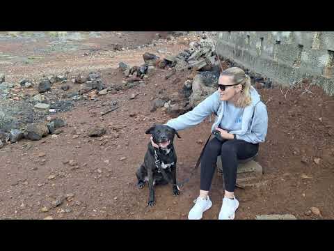 Argos video